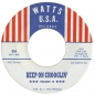 Mobile Preview: Keep On Chooglin' - Vol. 15/Gumbo Jones CD